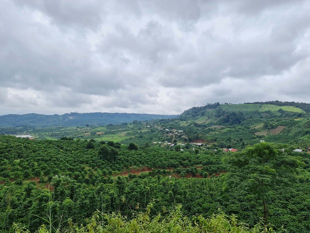 thôn Đắk Snao, xã Quảng Sơn, huyện Đắk G’long